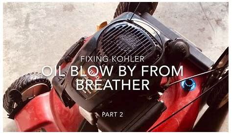 kohler engine oil in carburetor|Kohler blowing oil solved